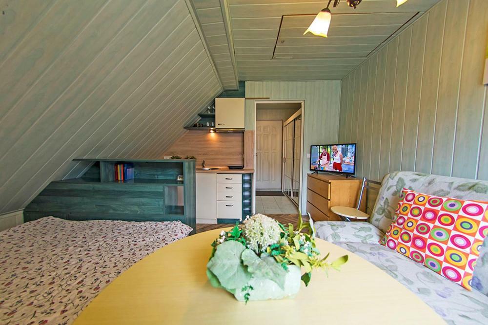 Apartamenty Grapa Szum Rzeki Parking Free Wisla Ngoại thất bức ảnh