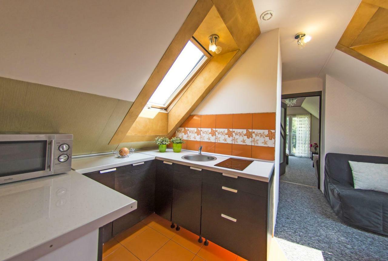 Apartamenty Grapa Szum Rzeki Parking Free Wisla Ngoại thất bức ảnh